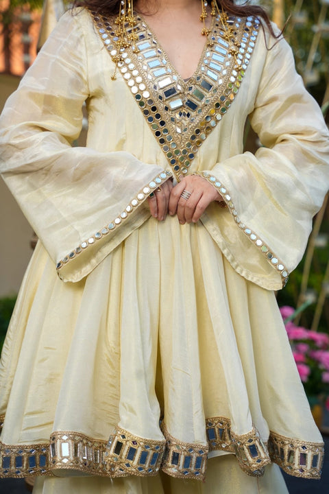 AliyaCut Kediya Style Mirror Work Palazzo Set | Chinon Fabric | Festive & Wedding Wear Suit Set (1215-RABDI)