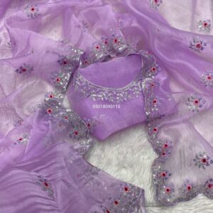 Soft Organza Silk Saree with Embroidery & Zari Work