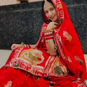 Premium HandWork Original Dola Silk Saree with Elegant Zari & Stone Work (RED)