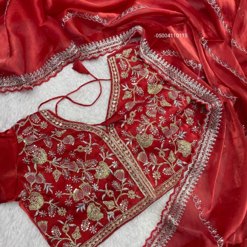 Gorgeous Jimmy Choo Saree with Sequence Work & Stitched Blouse – Perfect for Parties